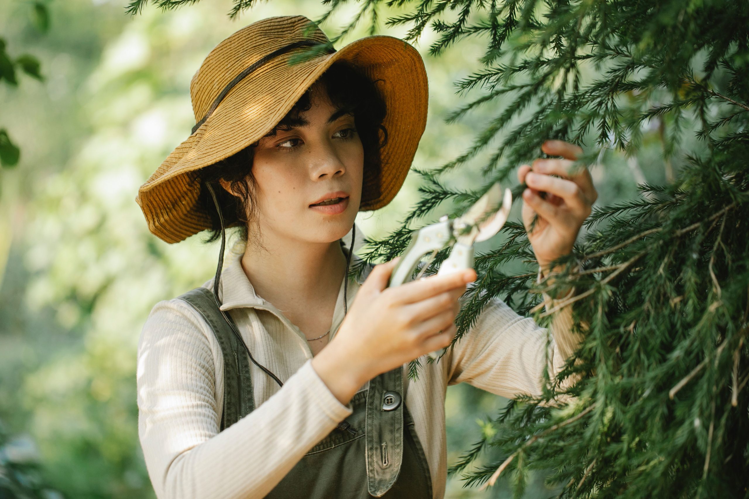 Femme jardinière taillant les branches d'un cyprès vert