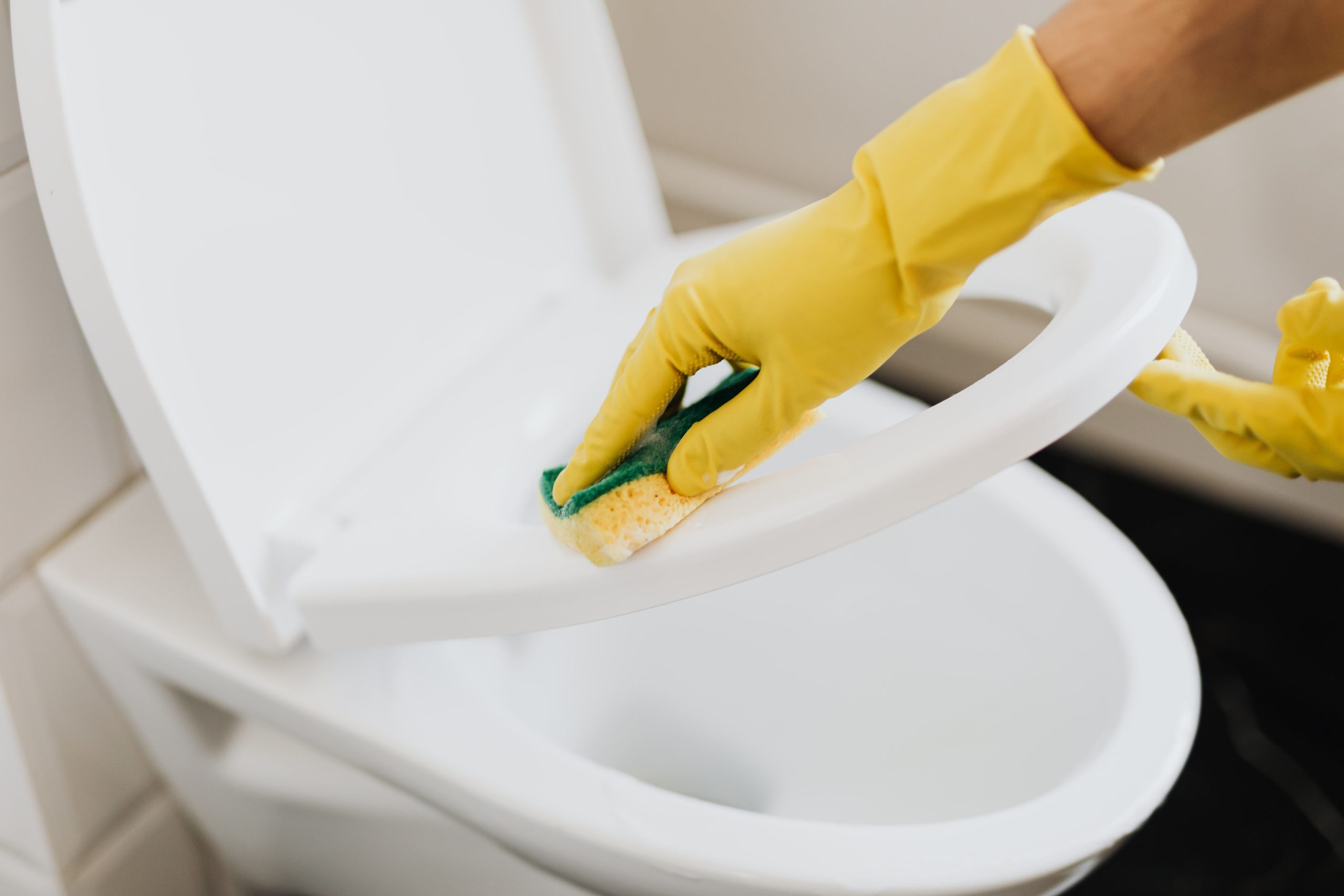 Personne nettoyant abattant toilettes avec éponge
