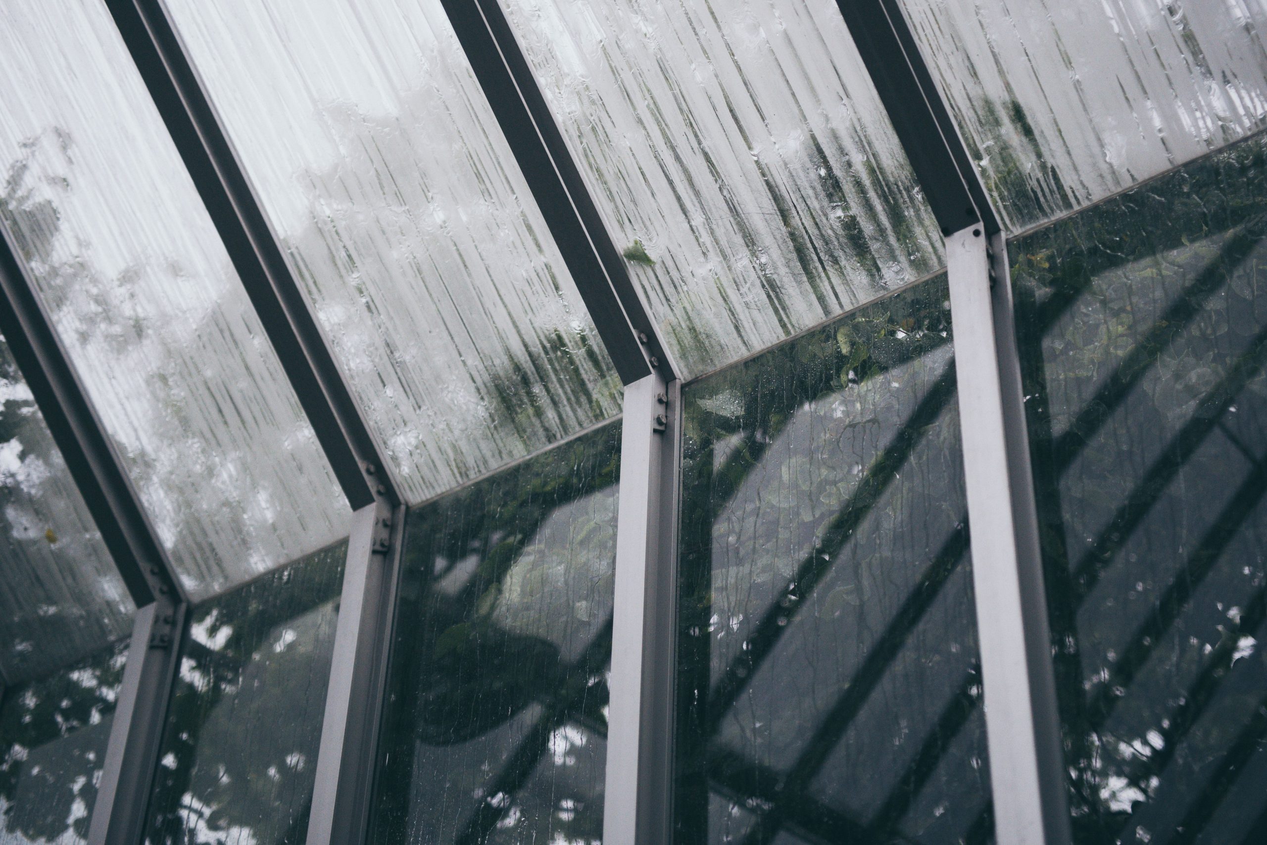 Toit vitre avec gouttes pluie et reflets